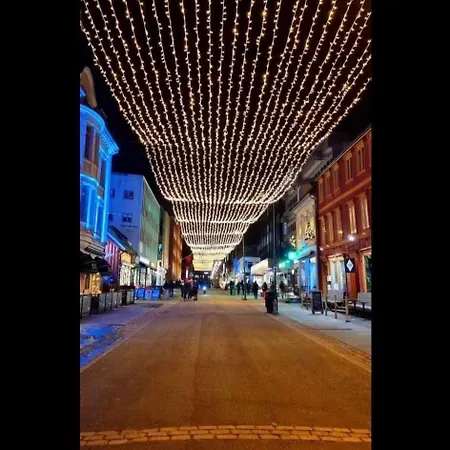 Koselig Over To Plan. شقة ترومسو